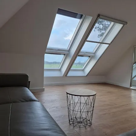 Modern Dream House With Private And Gym Holiday home Norderstedt