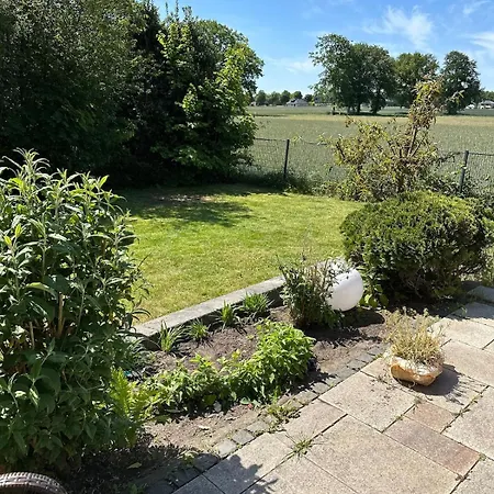 Modern Dream House With Private And Gym