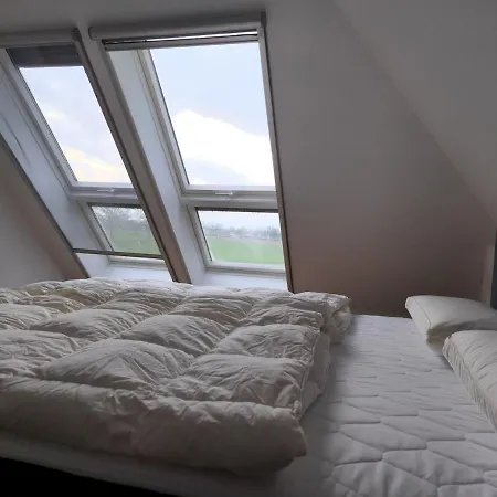 Modern Dream House With Private And Gym Сasa de vacaciones *