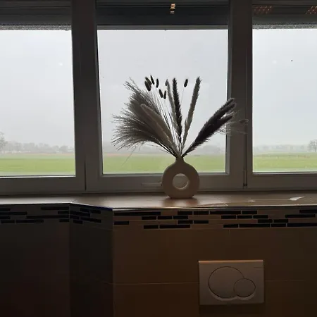 Modern Dream House With Private And Gym *