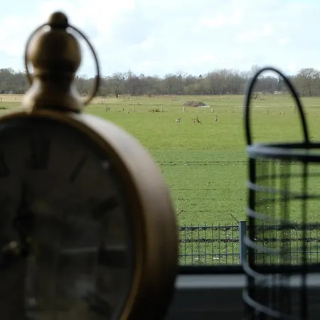 Сasa de vacaciones Modern Dream House With Private And Gym