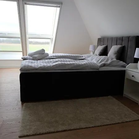 Modern Dream House With Private And Gym