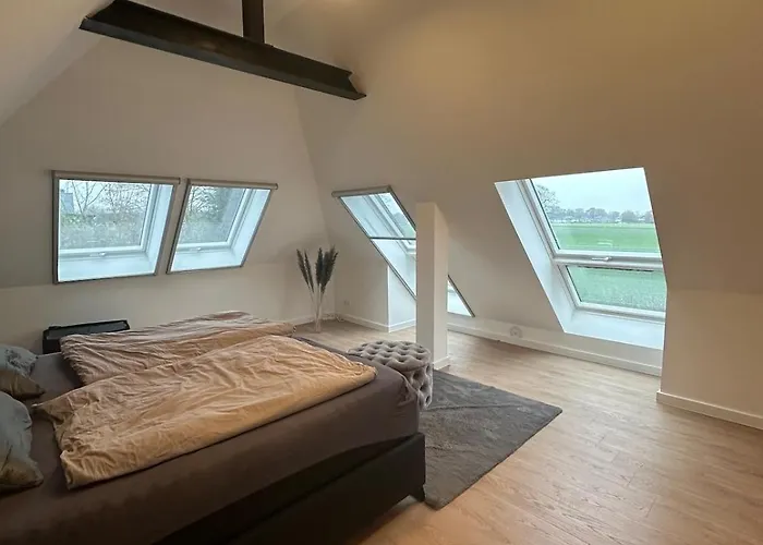 Modern Dream House With Private And Gym