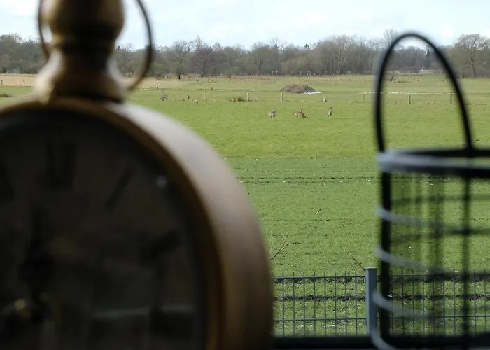 Vakantiehuis Modern Dream House With Private And Gym